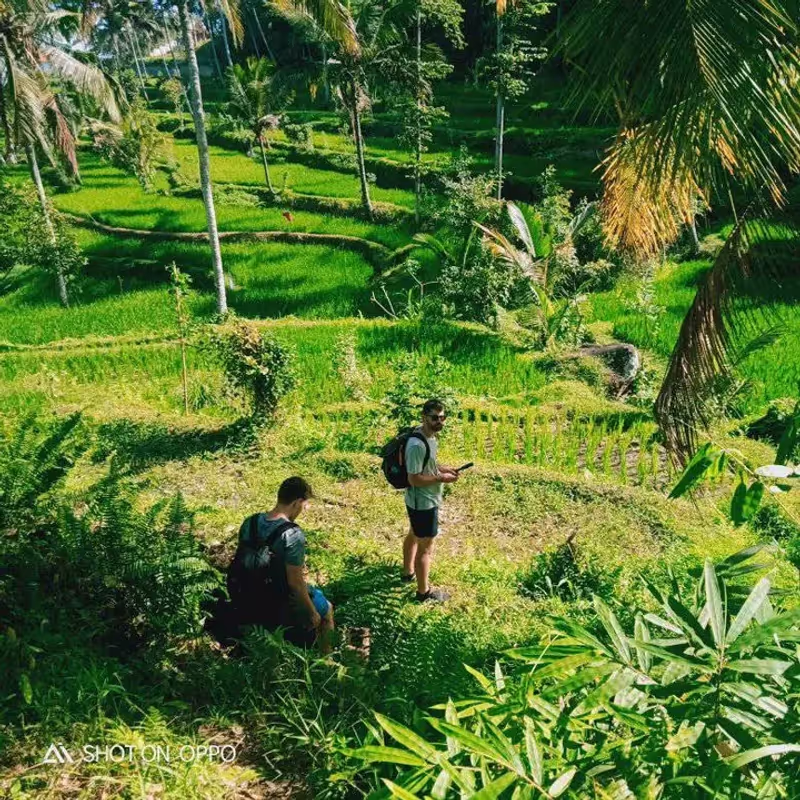 Lombok Private Tour - In the middle of the rice fields