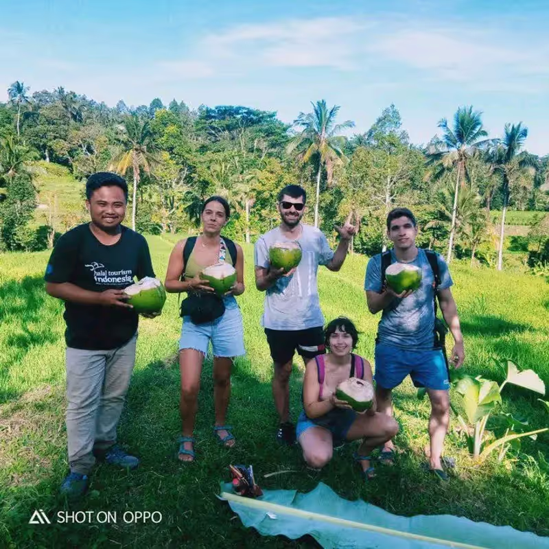 Lombok Private Tour - coconut drinks during the activities
