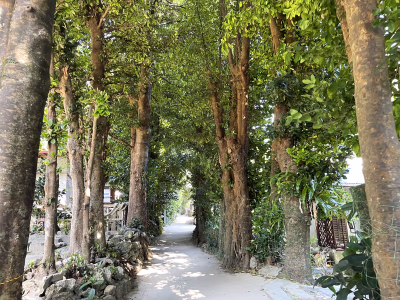 Okinawa Main Island Private Tour - Bise Village