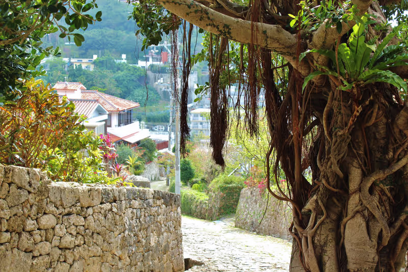 Okinawa Main Island Private Tour - Kinjo Town in Naha