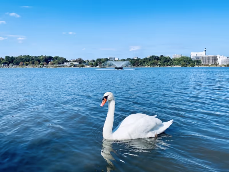 Ibaraki Private Tour - Senbako lake