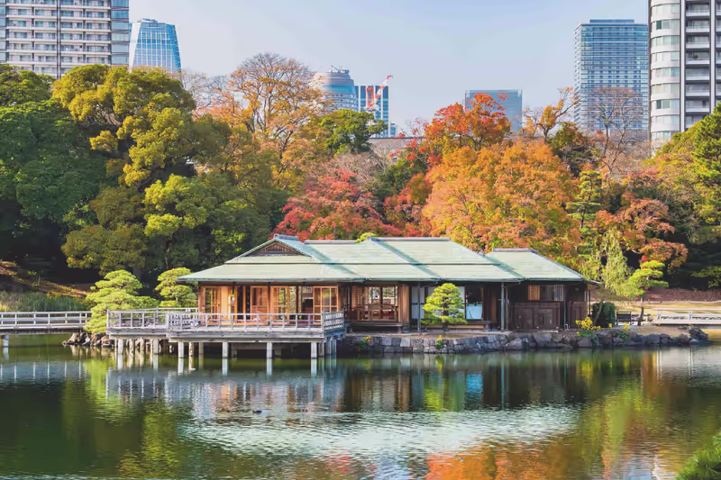 Tokyo Private Tour - Hamarikyu on the way Option