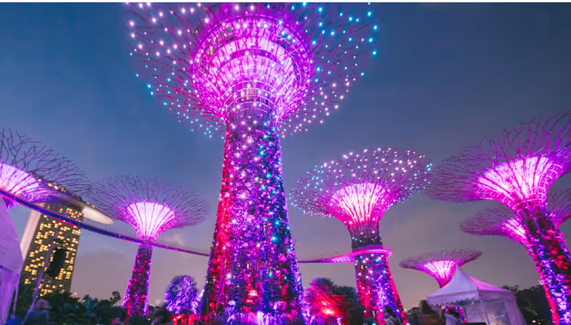 Singapore Private Tour - 