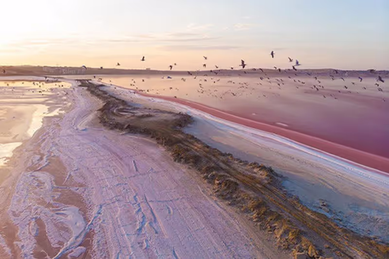 Baku Private Tour - Pink lake - Masazir