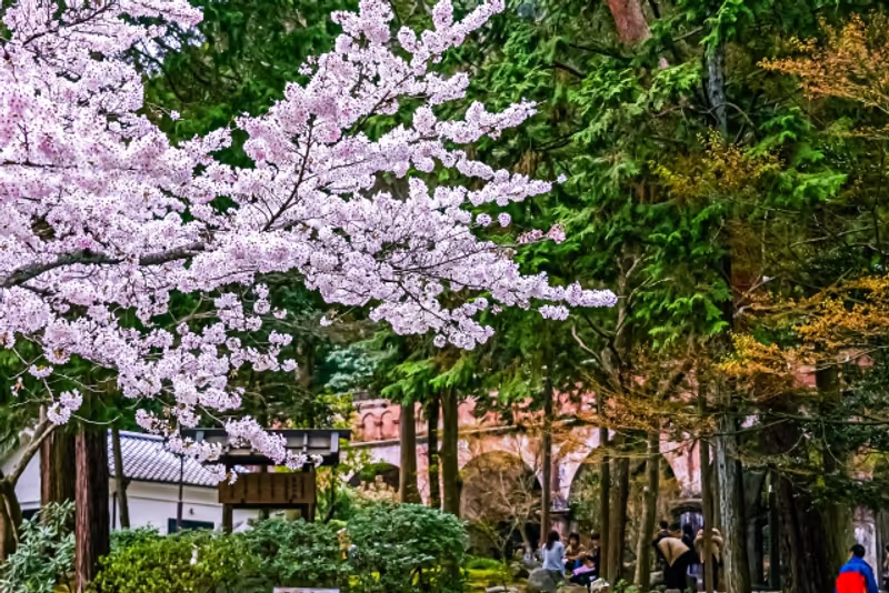 Kyoto Private Tour - Nanzen-ji Temple