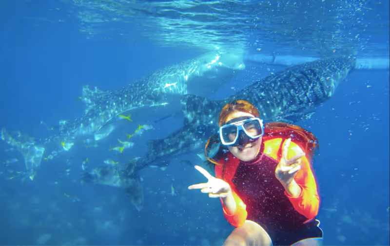 Cebu City Private Tour - 