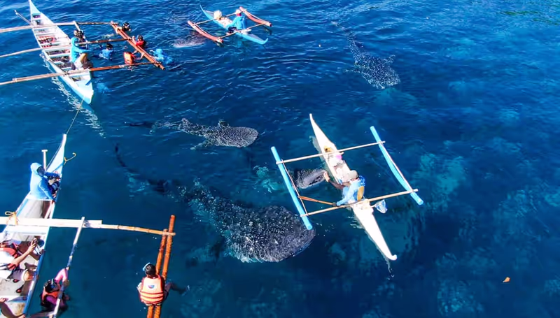 Cebu City Private Tour - 