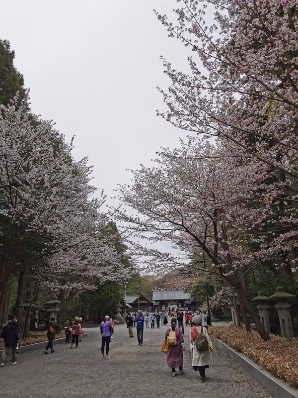 Sapporo Private Tour - Maruyama park