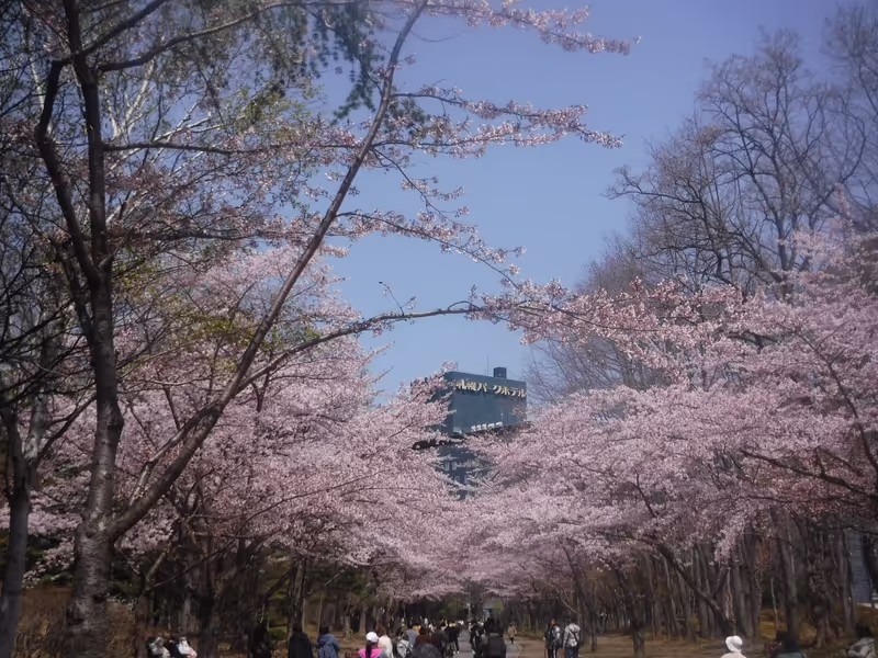 Sapporo Private Tour - Nakajima park