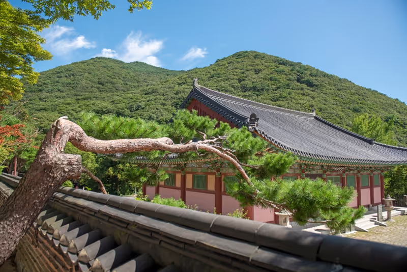 Busan Private Tour - 