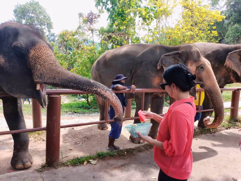 Phuket Private Tour - 