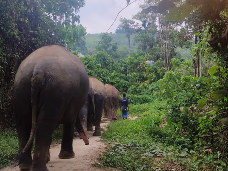 Phuket Private Tour - 