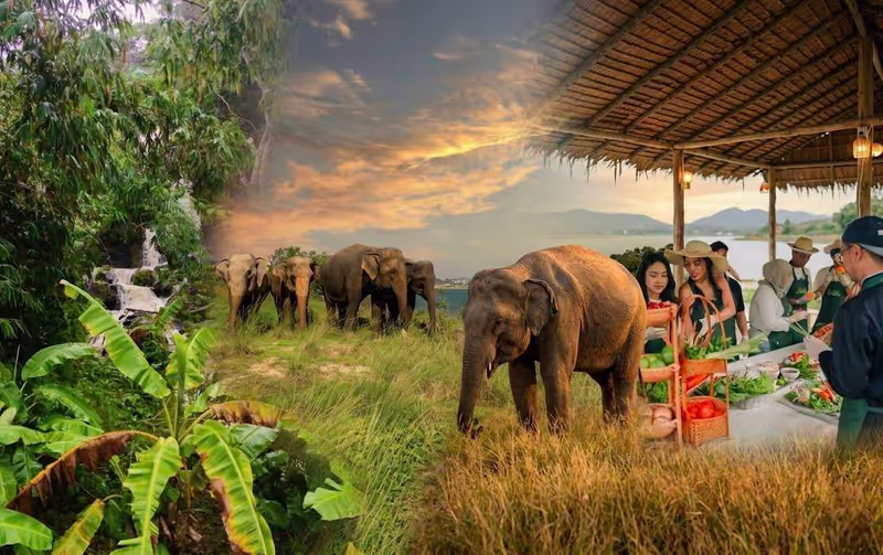 Phuket Private Tour - 