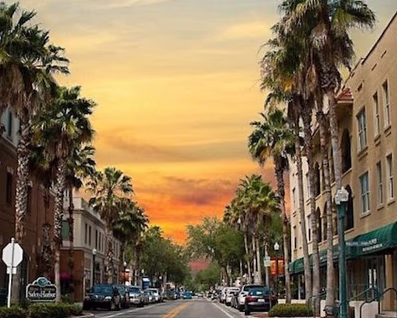 Tampa Bay Private Tour - Main Street