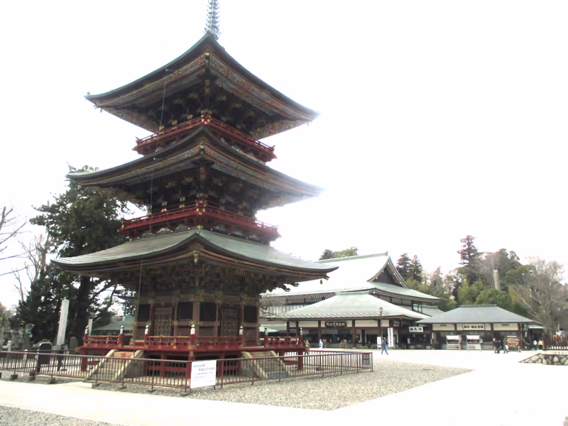 Chiba Private Tour - Sanjunotou built in 1712