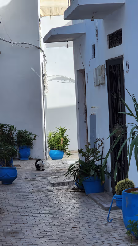 Casablanca Private Tour - allleyways of the casbah