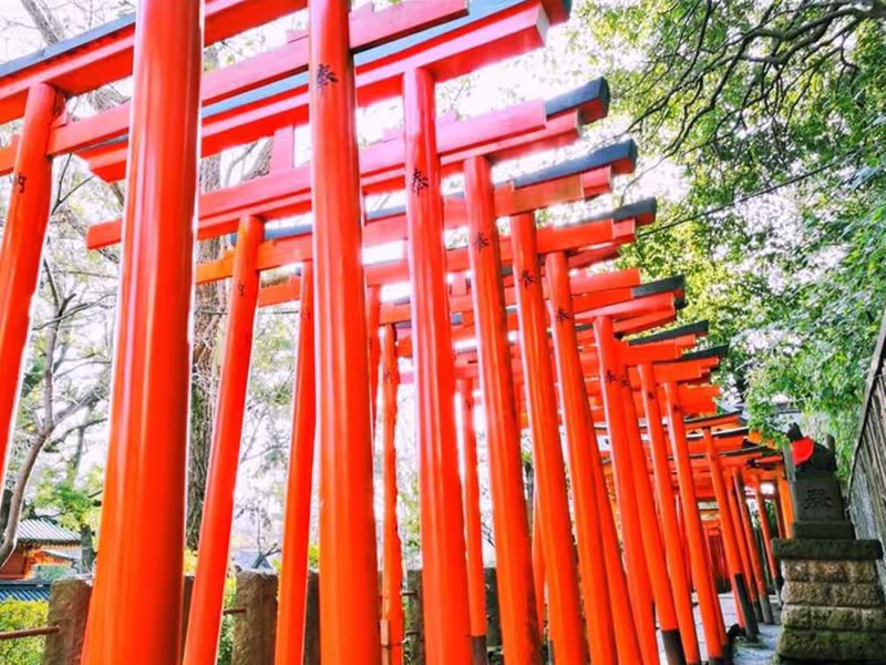 Tokyo Private Tour - 
