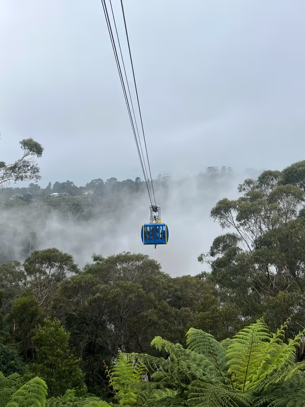 Sydney Private Tour - 