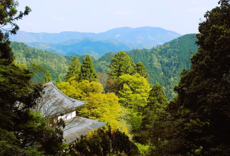 Kyoto Private Tour - You’ll enjoy stunning views along the hike