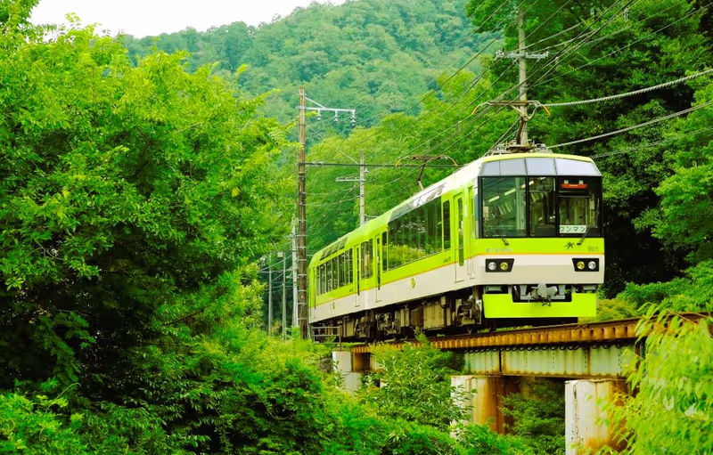 Kyoto Private Tour - Local tiny train through the Japanese forest