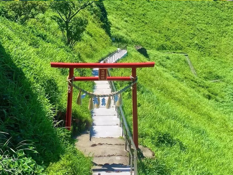 Tokyo Private Tour - 