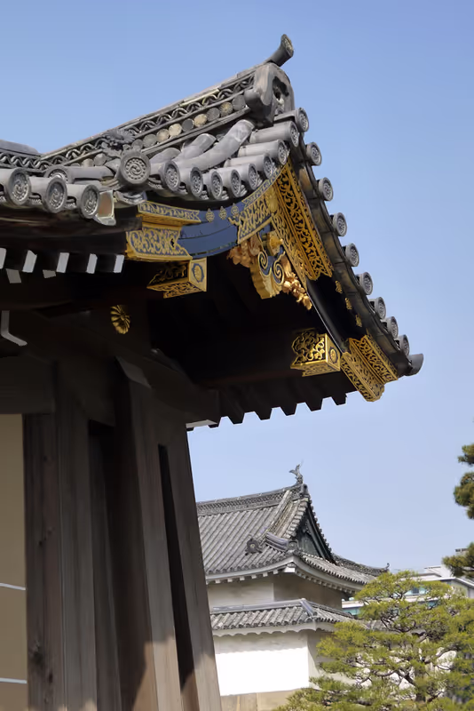 Kyoto Private Tour - Nijyo Castle