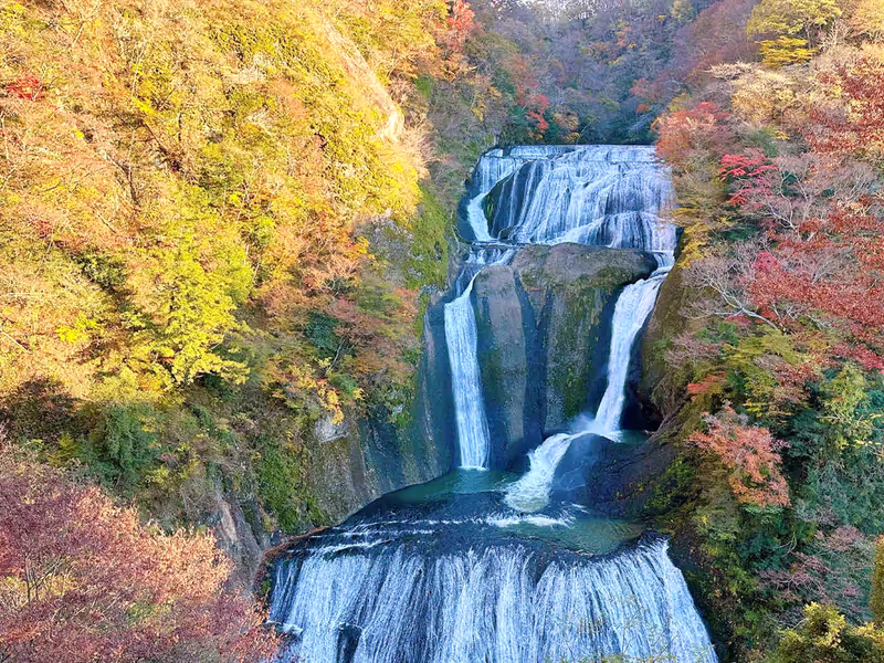 Tokyo Private Tour - 