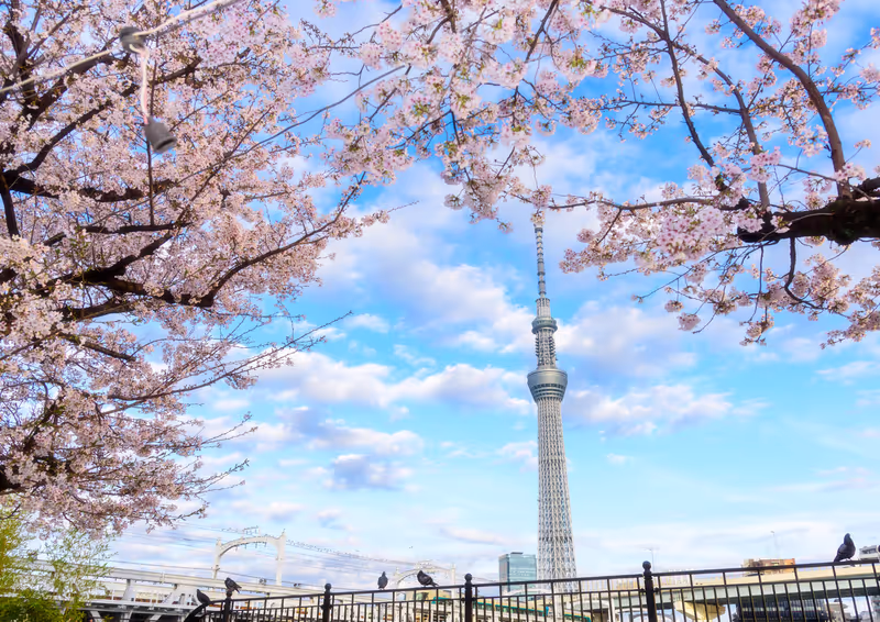Tokyo Private Tour - Tokyo Sky Tree