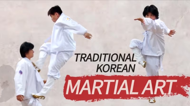 Seoul Private Tour - Taekkyeon