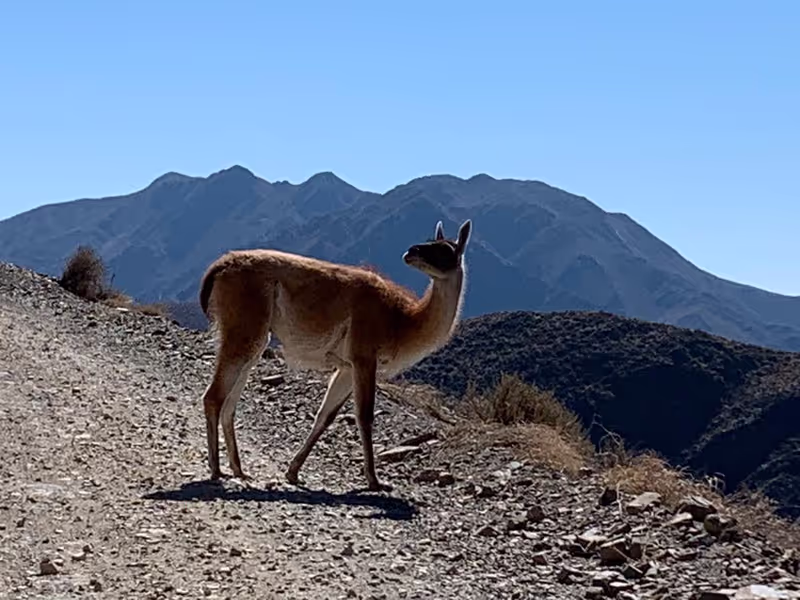 Mendoza Private Tour - 