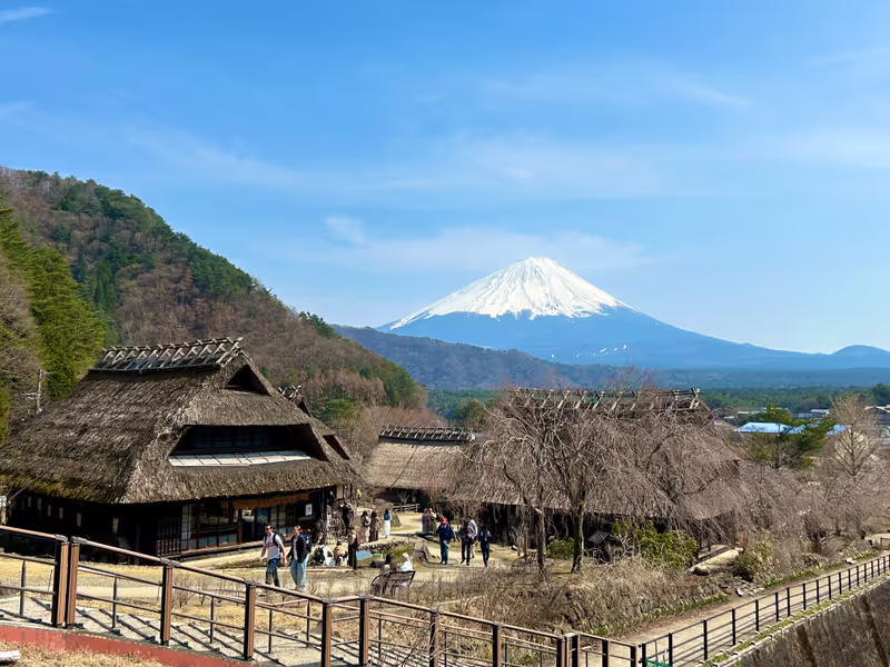 Tokyo Private Tour - Saiko Iyashi-no-Sato Nenba