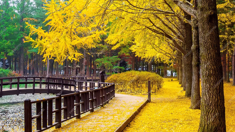 Seoul Private Tour - 