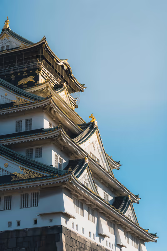 Osaka Private Tour - A castle entombing an enduring history