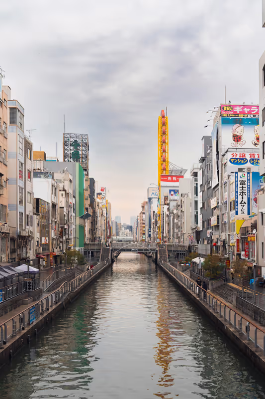 Osaka Private Tour - The sleepless canal