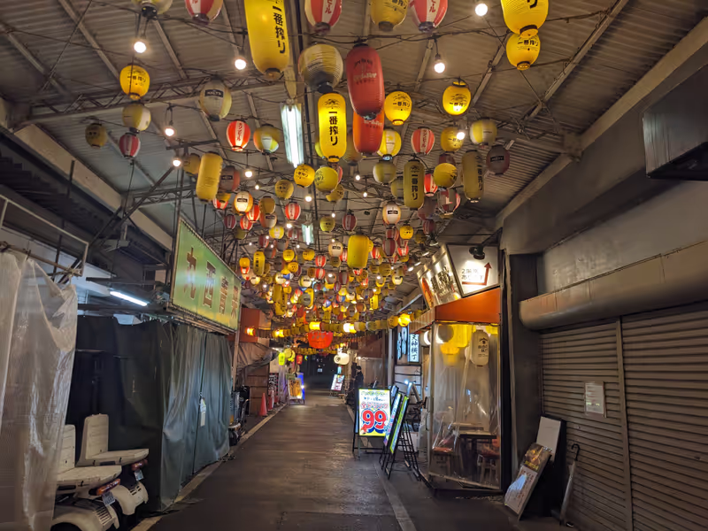 Osaka Private Tour - The winding roads of Ura-Tenma