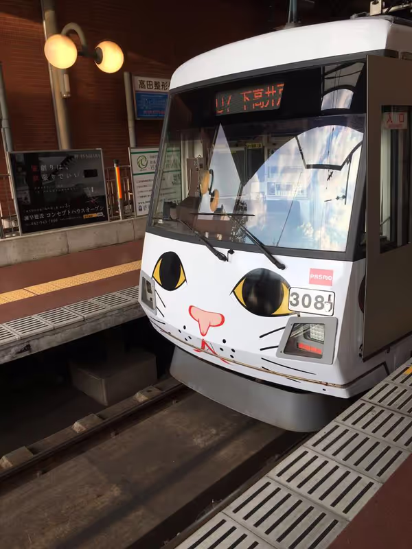 Tokyo Private Tour - Le train chat de la ligne de Setagaya.