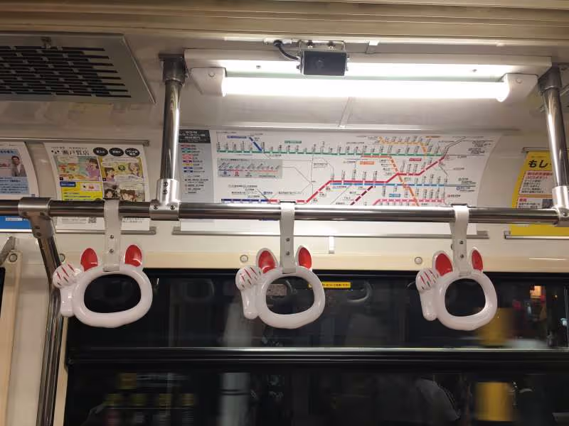 Tokyo Private Tour - Dans le train chat...