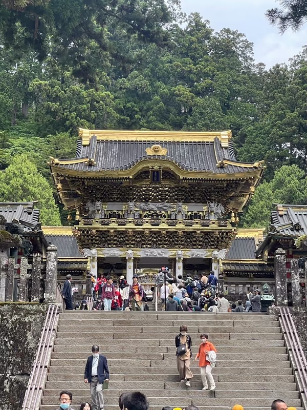 Nikko Private Tour - 