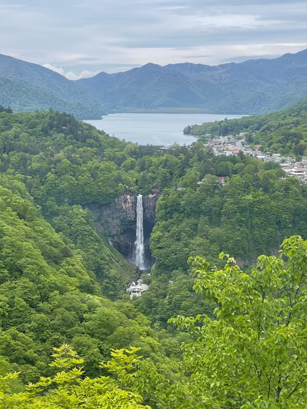 Nikko Private Tour - 