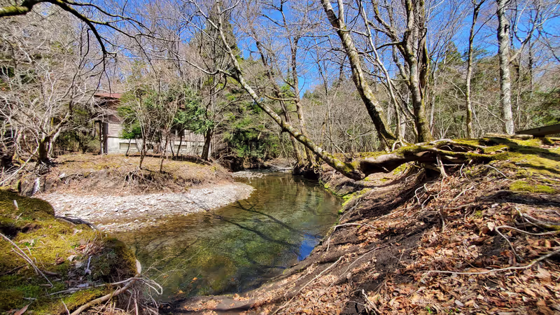 Oita Private Tour - Oike Spring Water Promenade