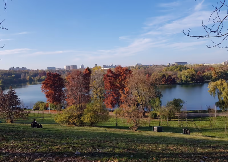 Bucharest Private Tour - Tineretului Park views