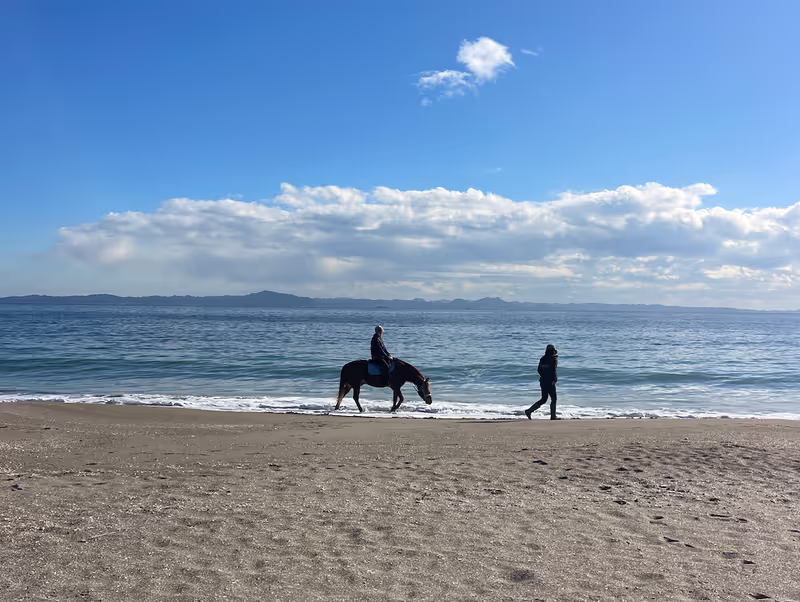 Kanagawa Private Tour - 
