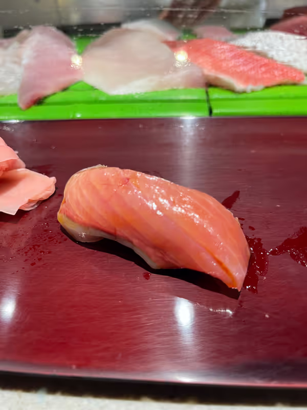 Yokohama Private Tour - tuna / maguro