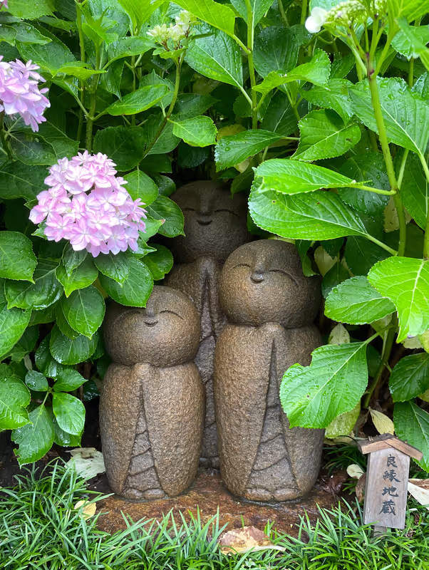 Kamakura Private Tour - Hase Temple