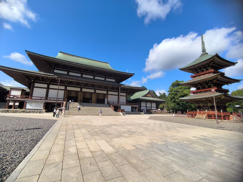 Narita Private Tour - 