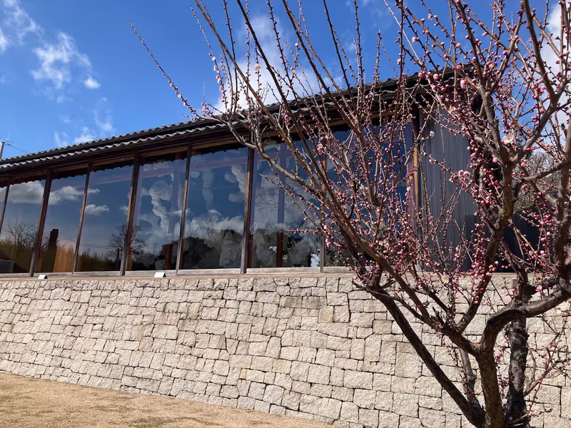 Kagawa Private Tour - F-Art House ( Inujima Art House Project)