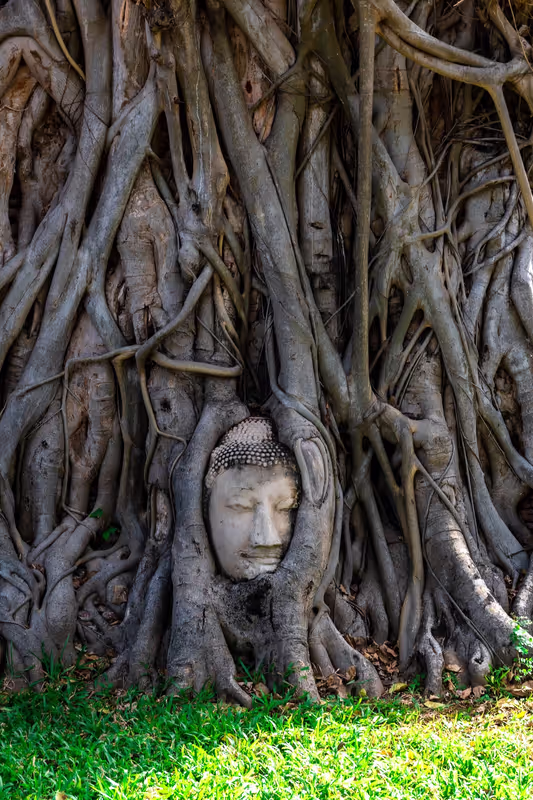 Bangkok Private Tour - Wat Mahathat