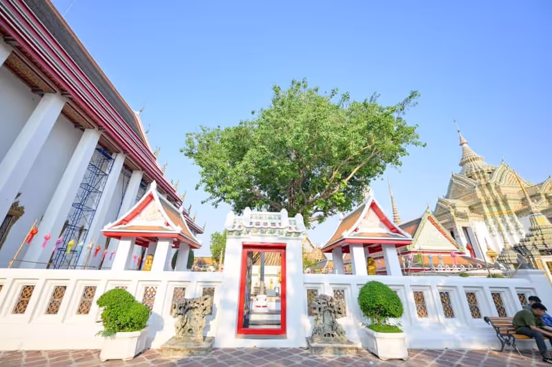 Bangkok Private Tour - Wat Pho (Temple of the Reclining Buddha)