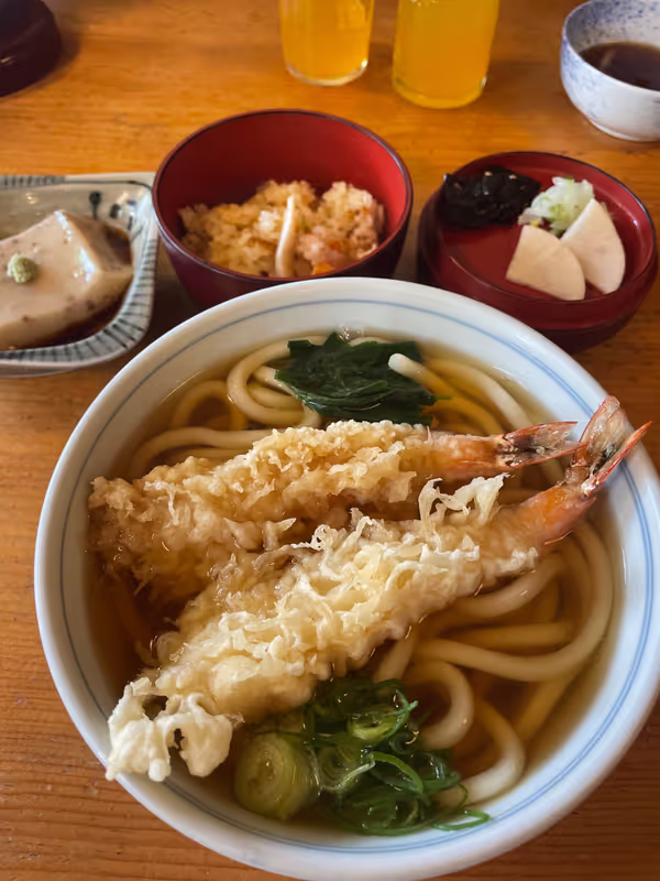 Kyoto Private Tour - Tempura Udon noodle