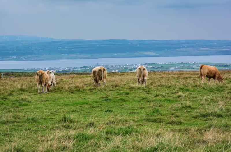 Dublin Private Tour - 